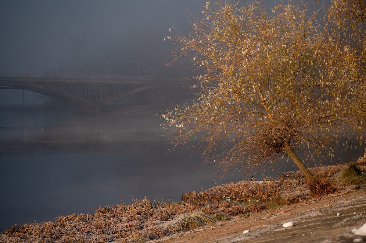 Мости і тумани 5