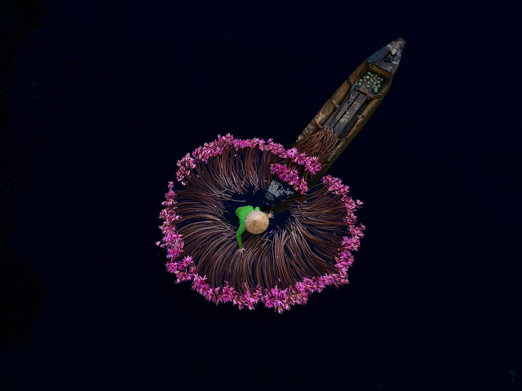 lilies Mekong Delta River