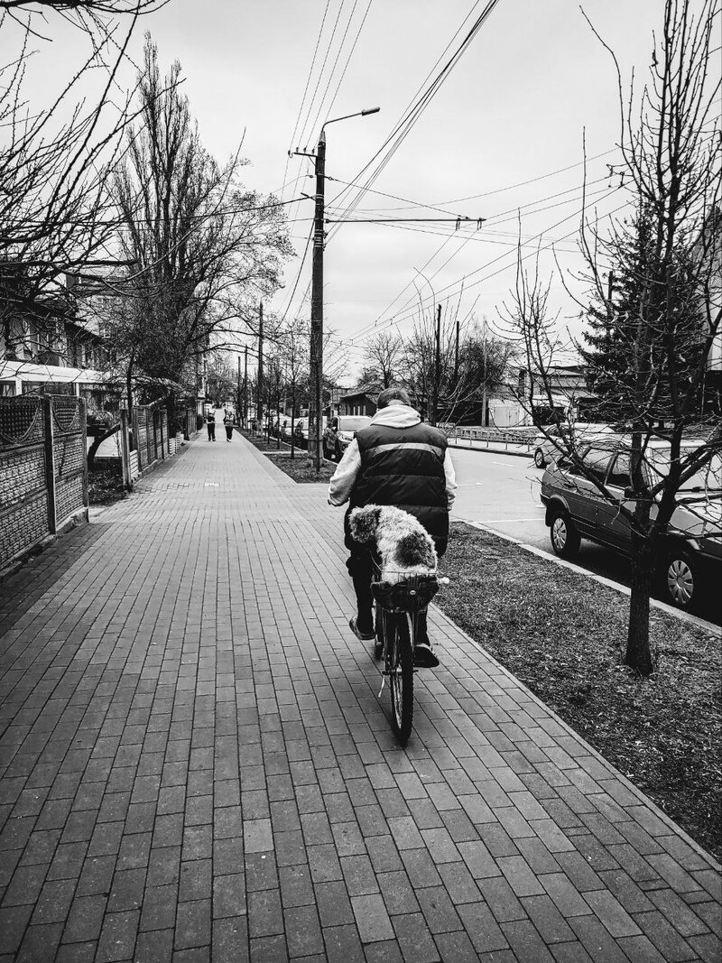 Мокрий носік - сухі лапки