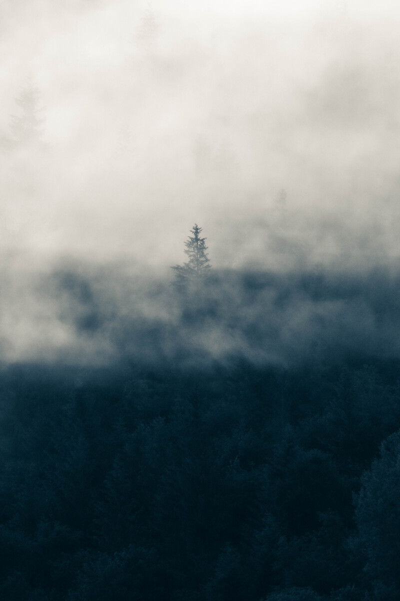 Карпати в диму3