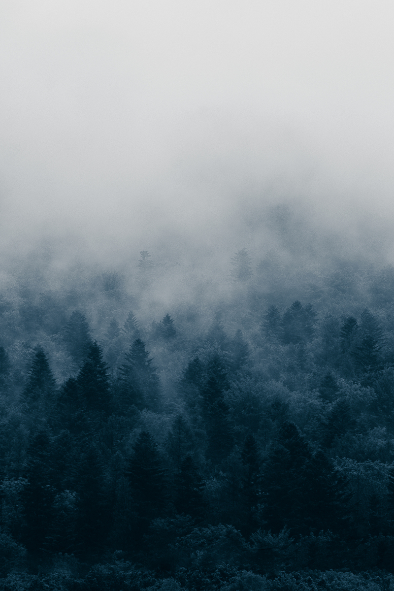 Карпати в диму6