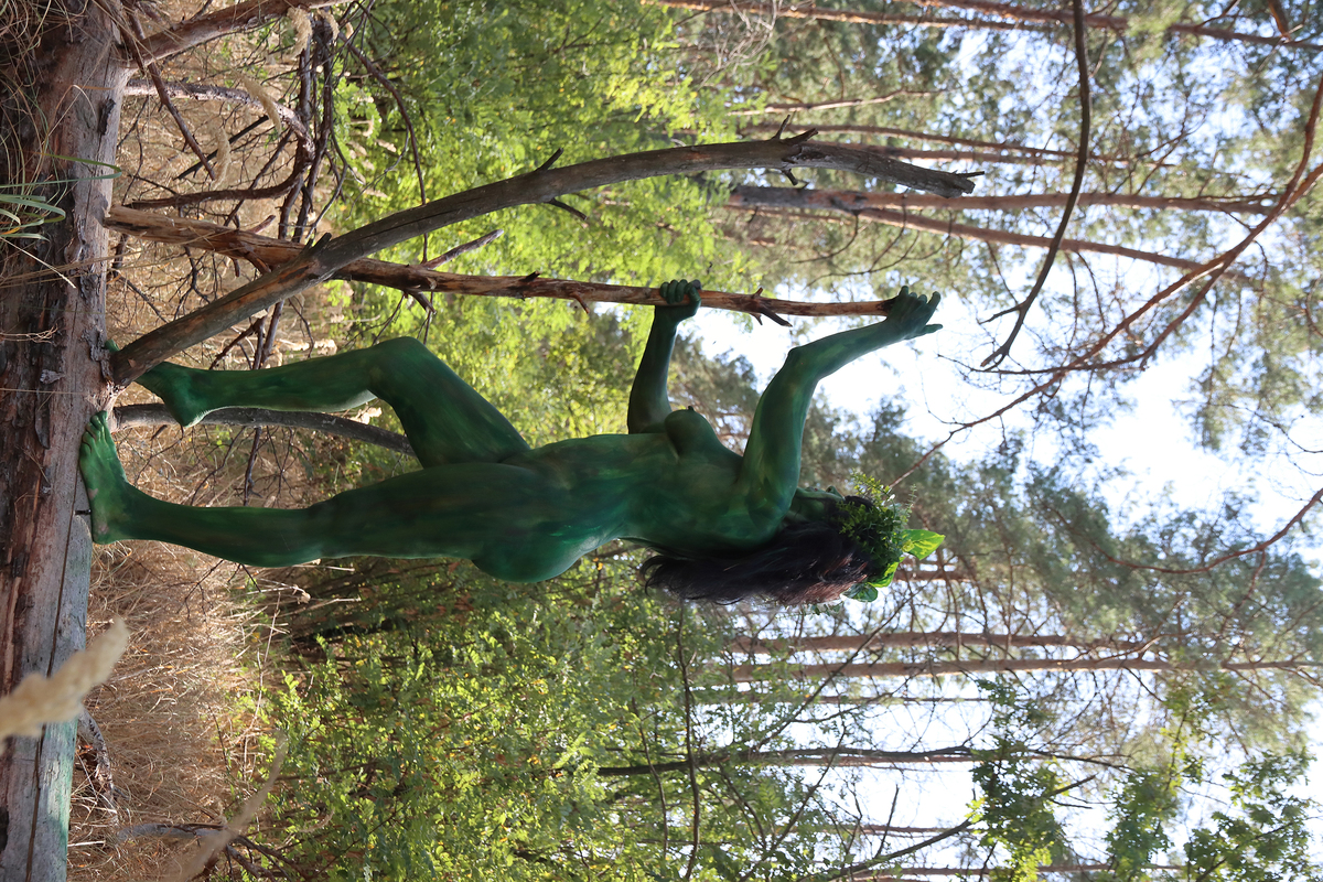 Вишниця — лісова мавка, яка живе у стовбурі високих дерев