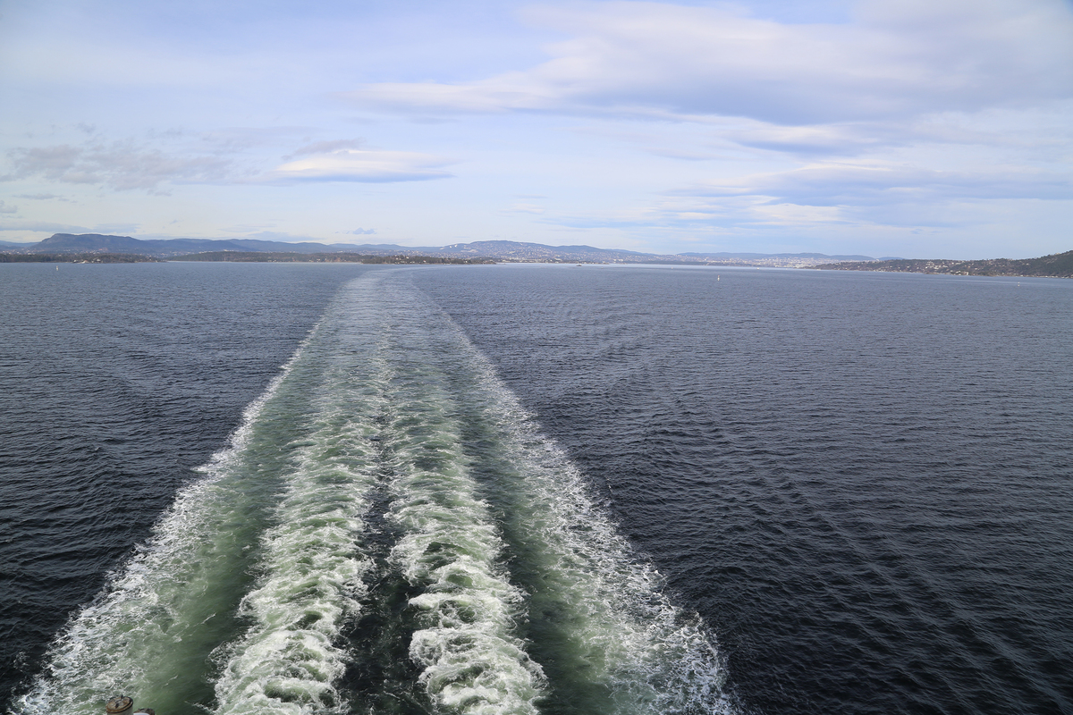 Морськi косички