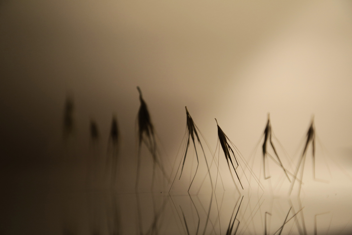 Люди cвiтла. Люди тьми