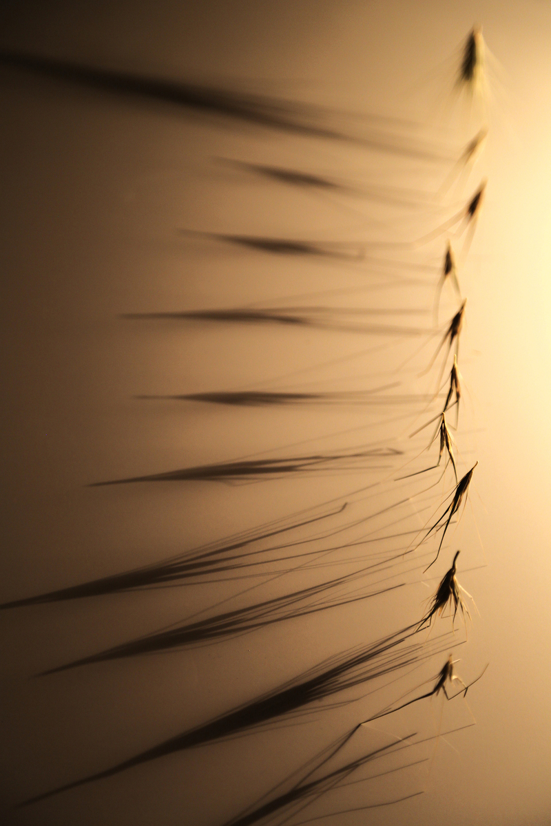 Не бiйся тiней,вони означают, що поруч горить свiтло