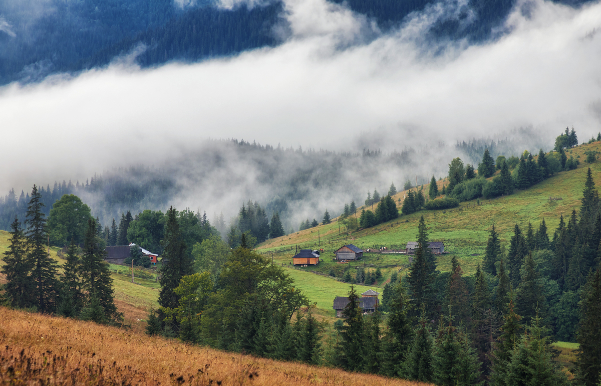 Там роблять сир
