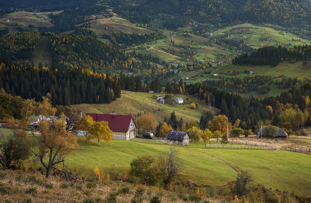 Краєвид з подвір'я