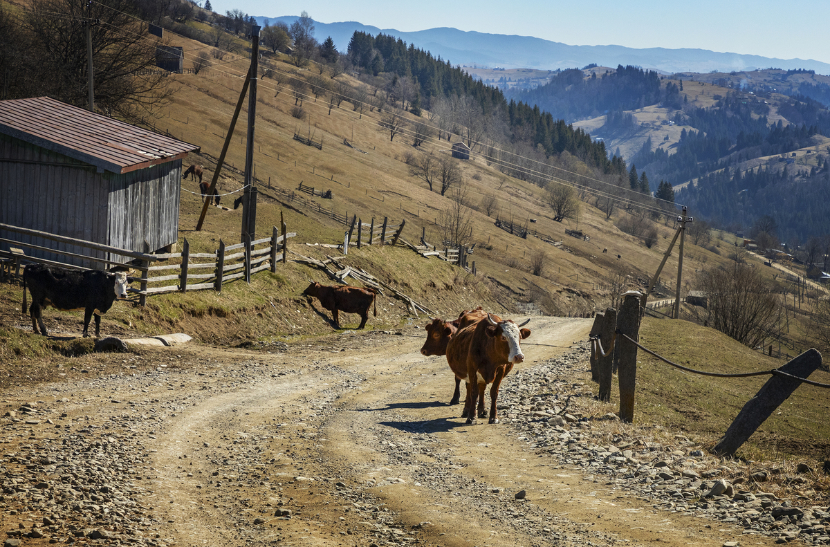 Йдучи на роботу