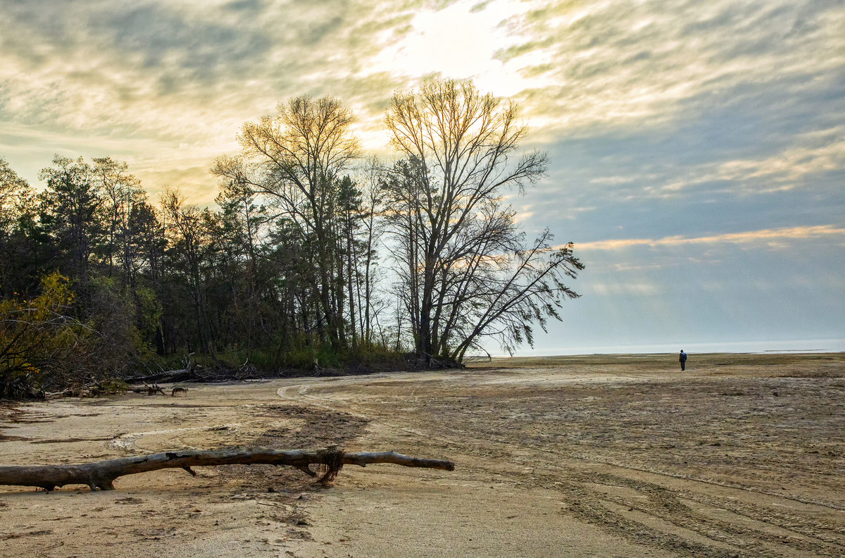 В пошуках моря