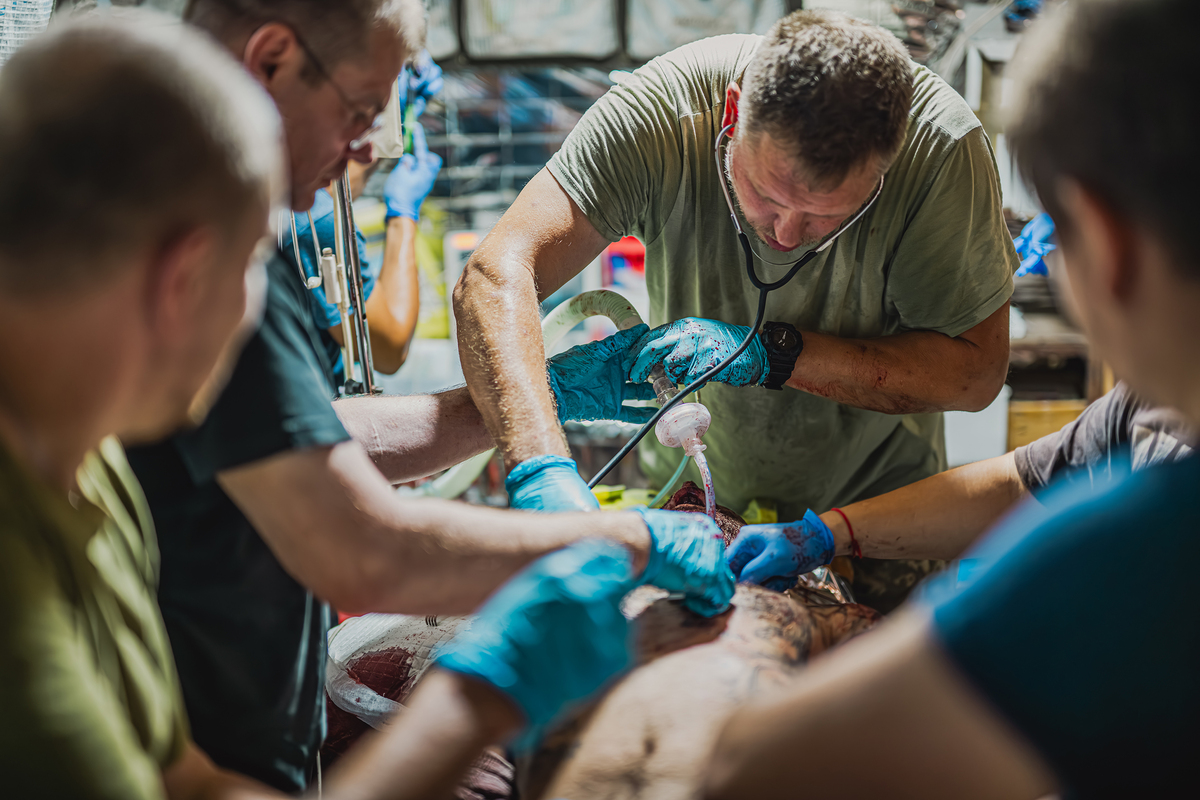 Встановлення трахеостоми бійцю з важкими пораненнями щелепи на Стабілізаційному пункті 53 ОМБр. м. Костянтинівка. Липень 2024.