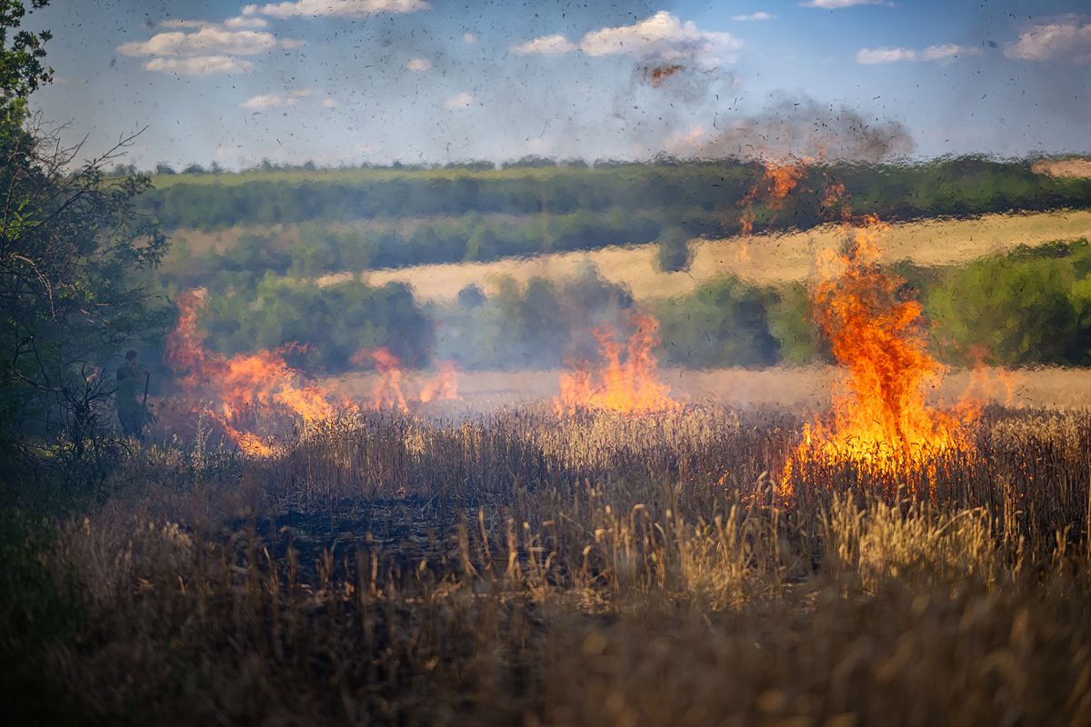 Донецький краєвид крізь ворожий вогонь. 23 ОМБр. Напрямок Очеретине. Липень 2024.