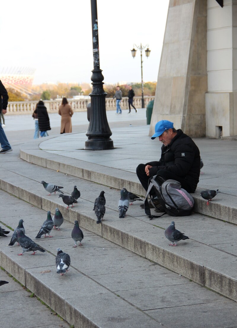 Тихе товариство