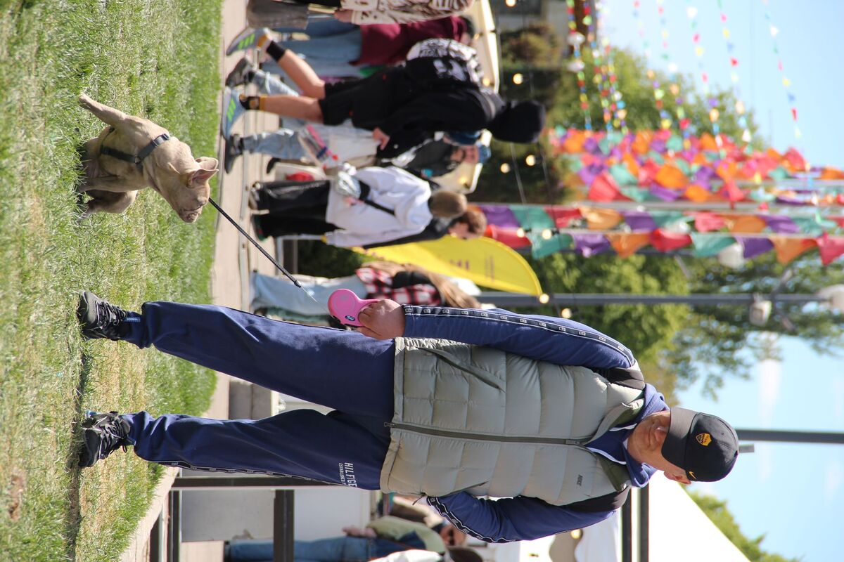 Крок за лапою