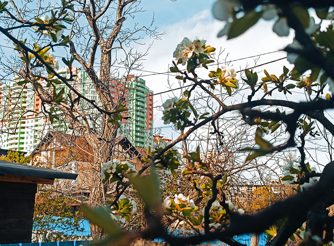 Київ. Весна всупереч