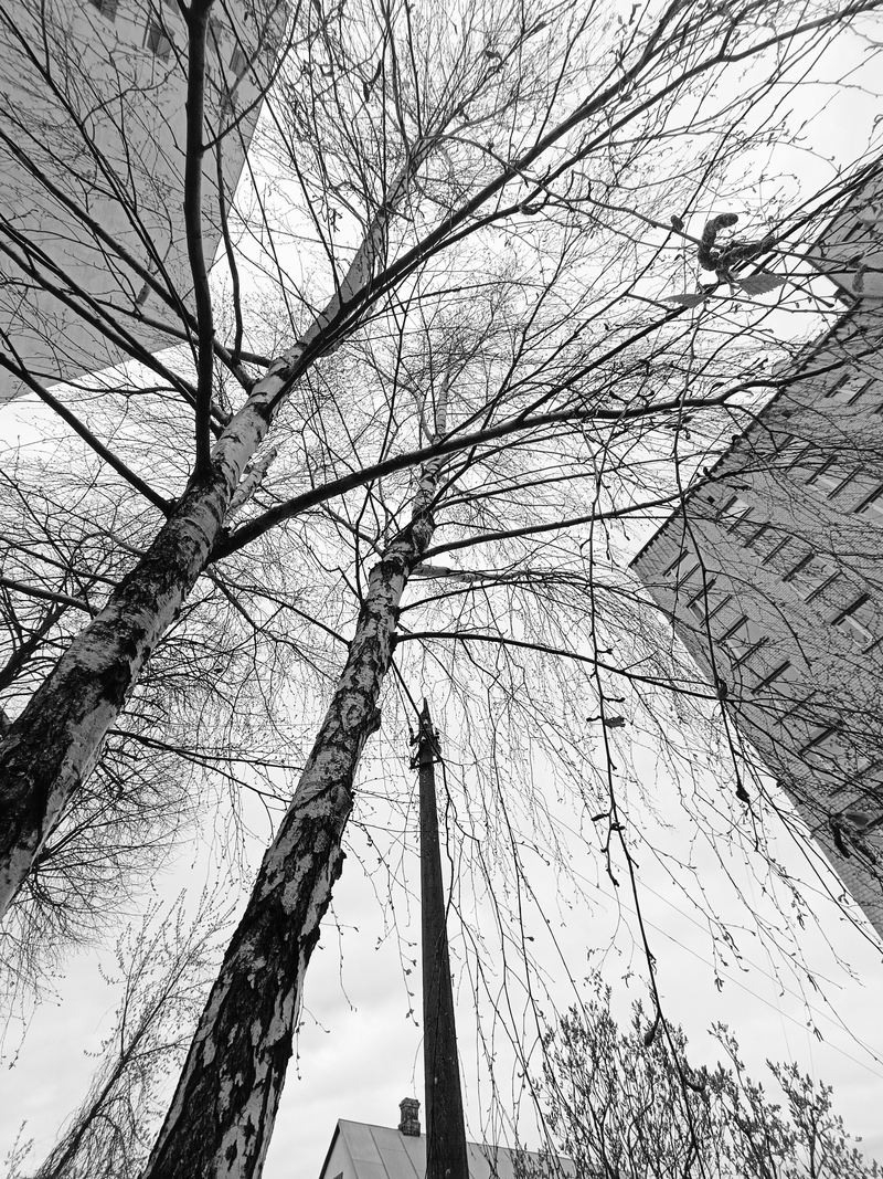 Філософські замальовки навколишнього середовища. Ранкове. Київ, Україна.