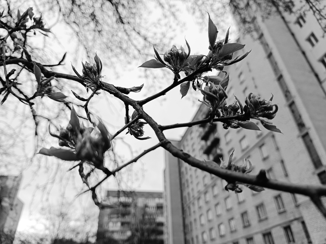 Філософські замальовки навколишнього середовища. Ранкове. Київ, Україна.