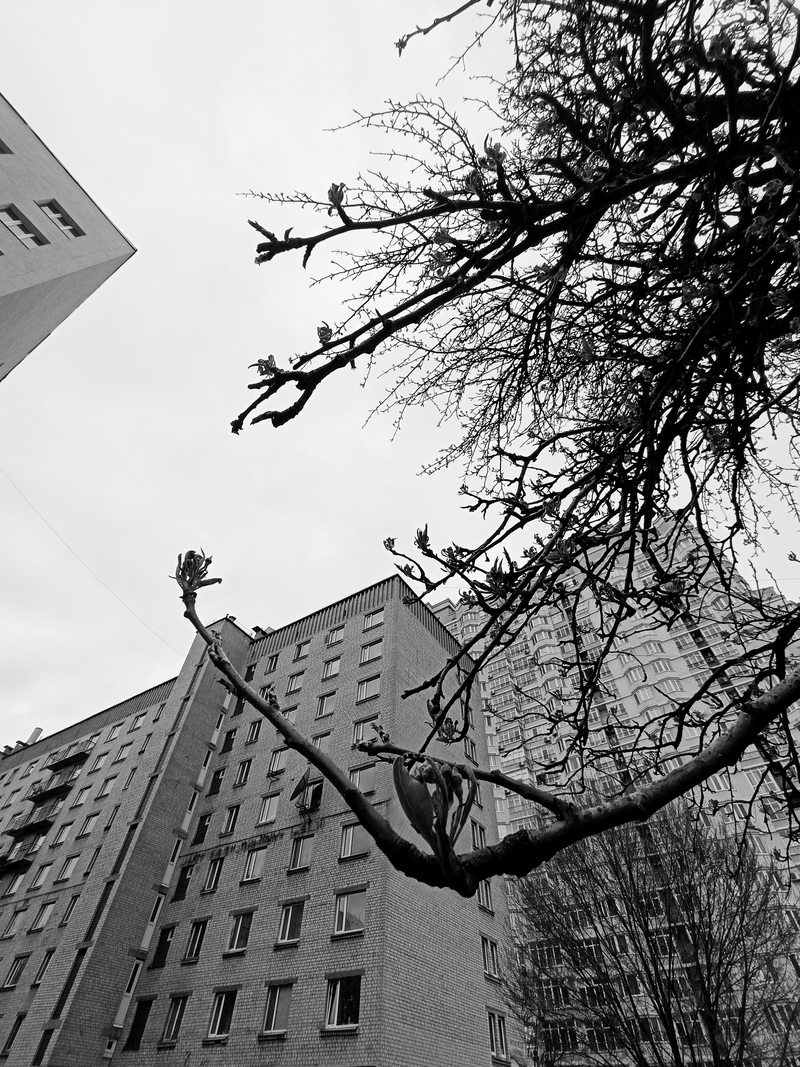 Філософські замальовки навколишнього середовища. Ранкове. Київ, Україна.