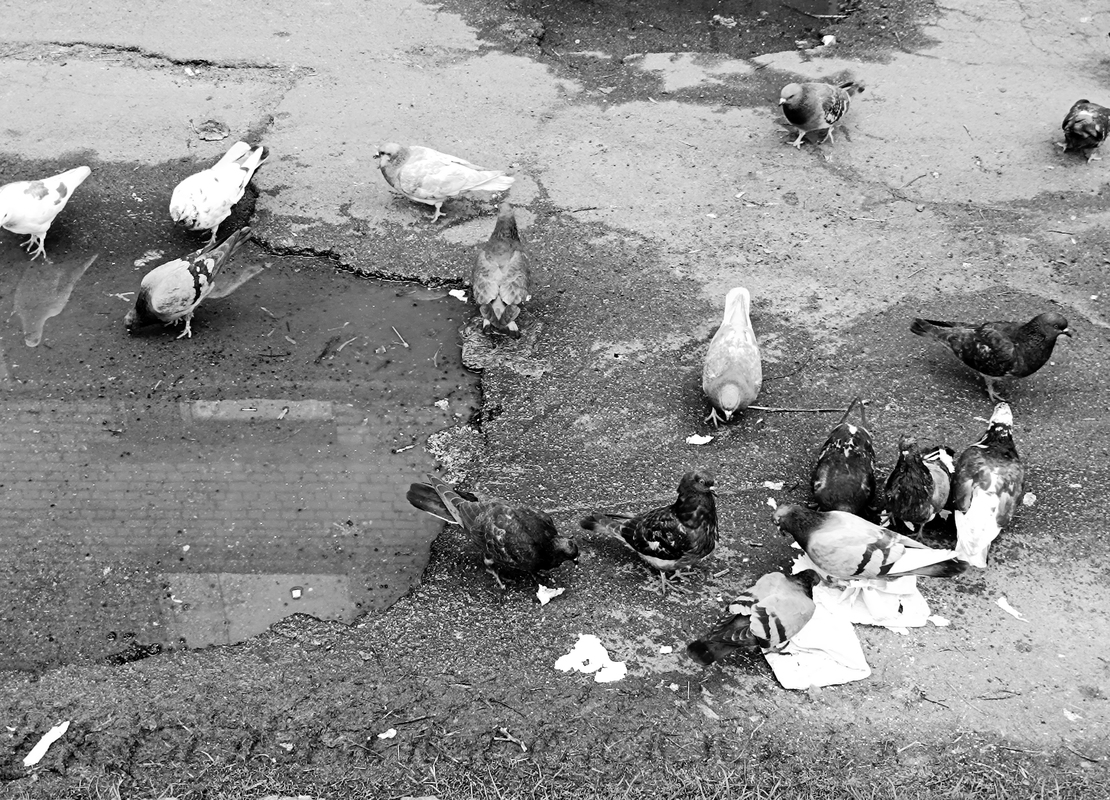 Філософські замальовки навколишнього середовища. Ранкове. Київ, Україна.