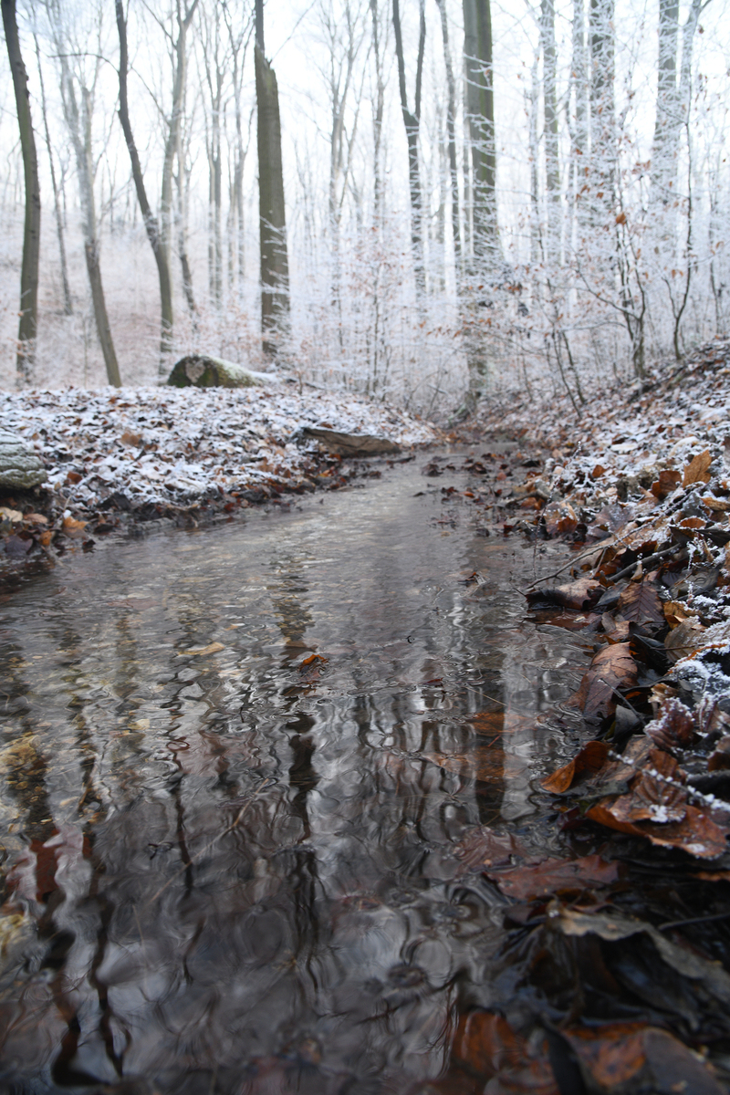 Новорічна казка №1