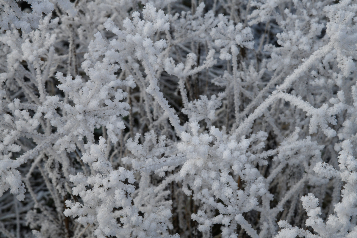 Новорічна казка №2