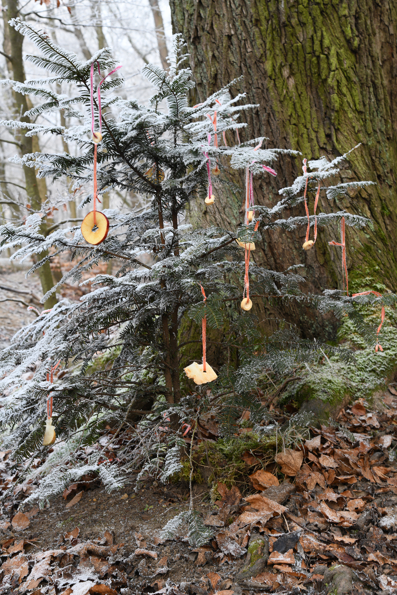 Новорічна казка №3