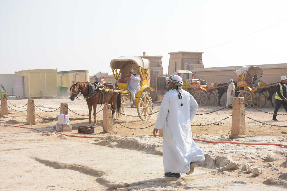 Daily life in the desert 2