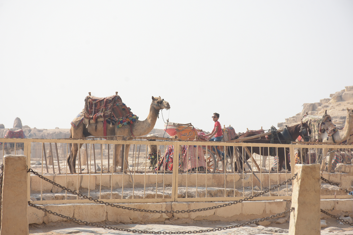 Daily life in the desert 3