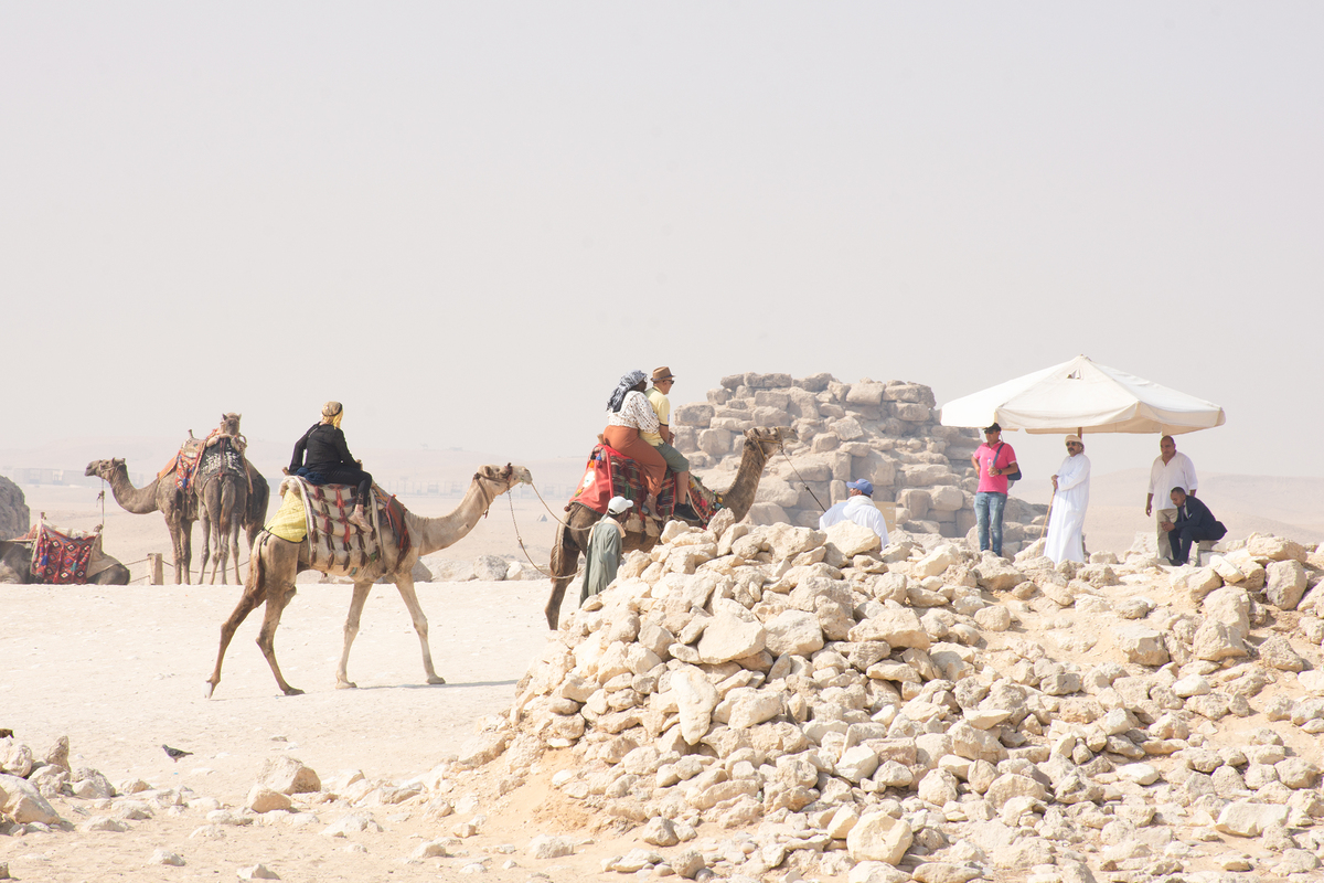 Daily life in the desert 4