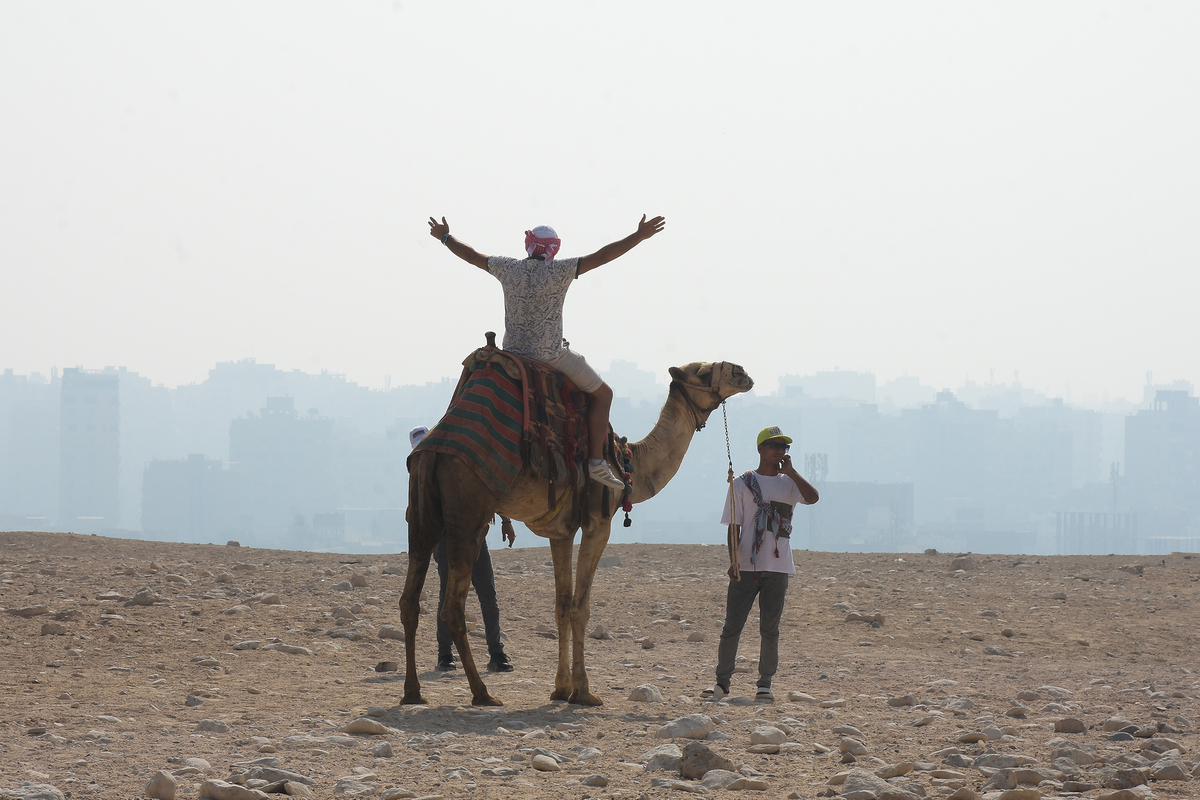 Daily life in the desert 8