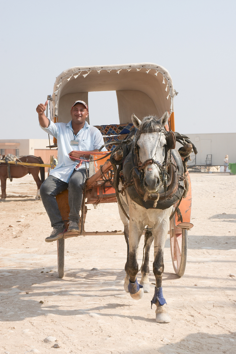 Daily life in the desert 6