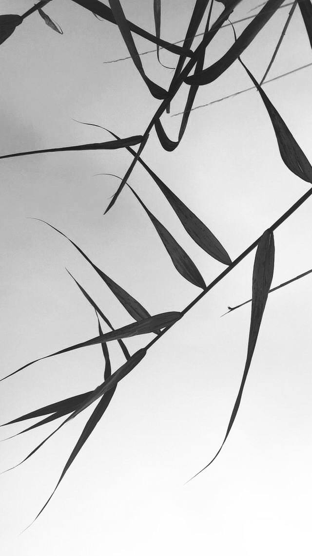 Р‘РµР·Р»СЋРґРЅРёР№ РїР»СЏР¶