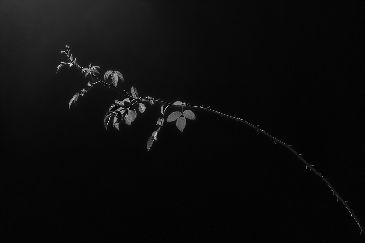 Light Within Darknes