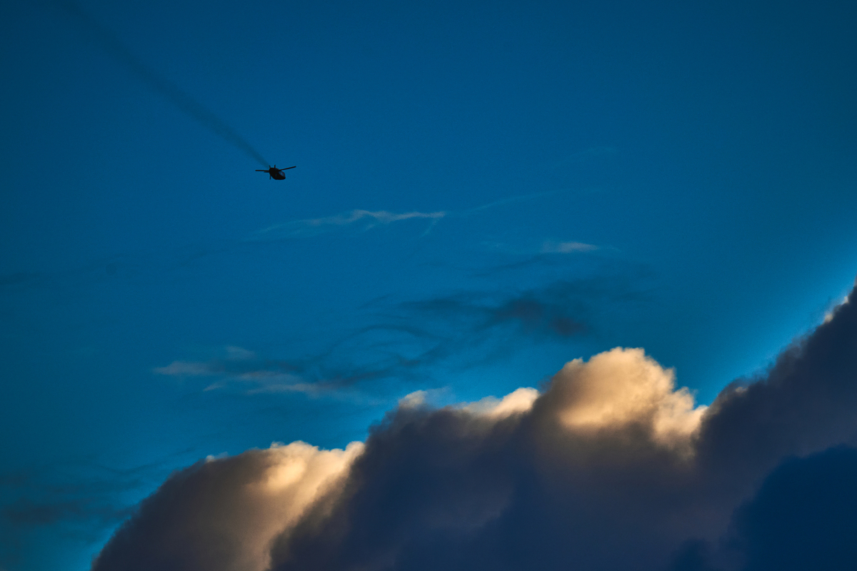 Які часи, такі птахи