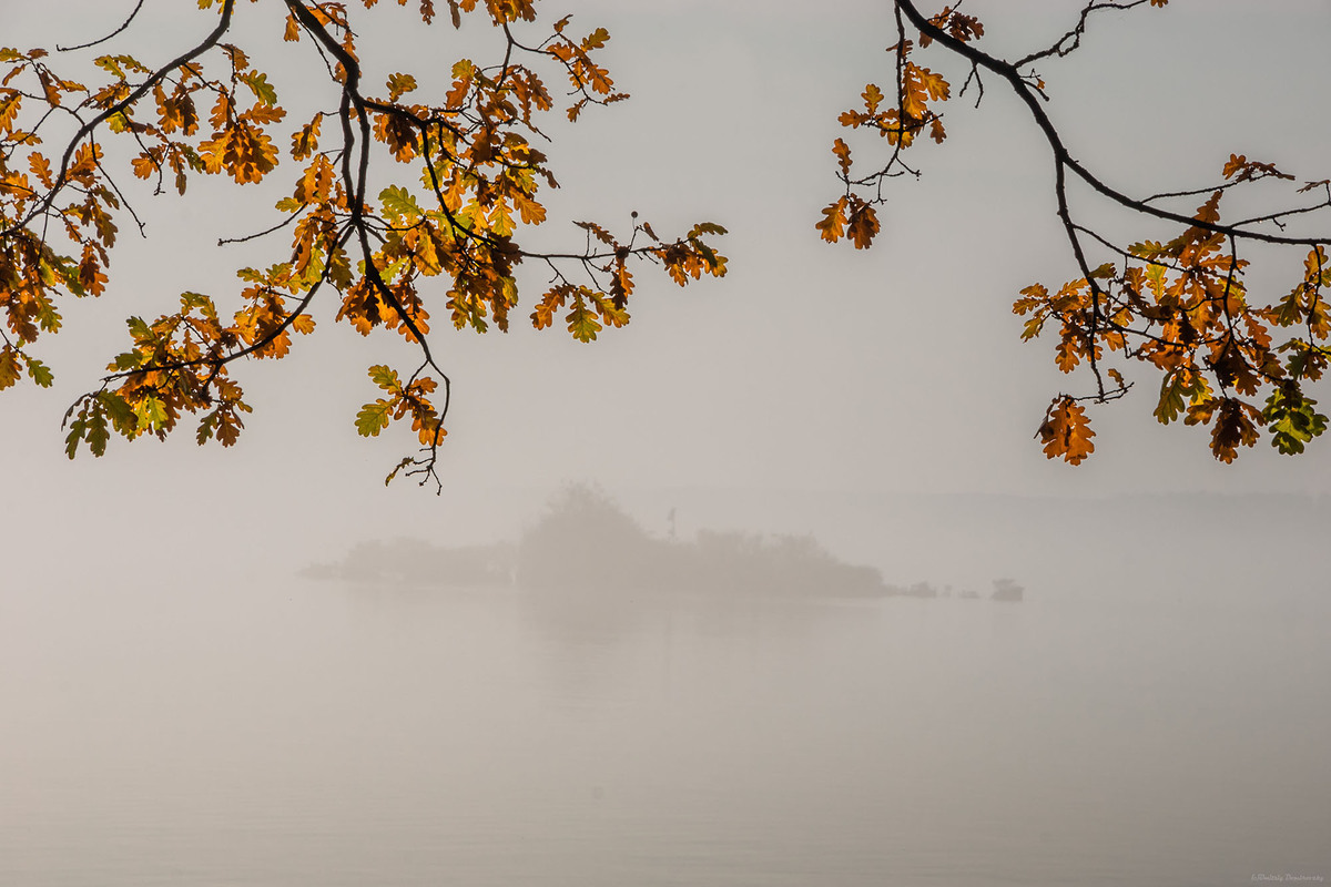 Туманний острів