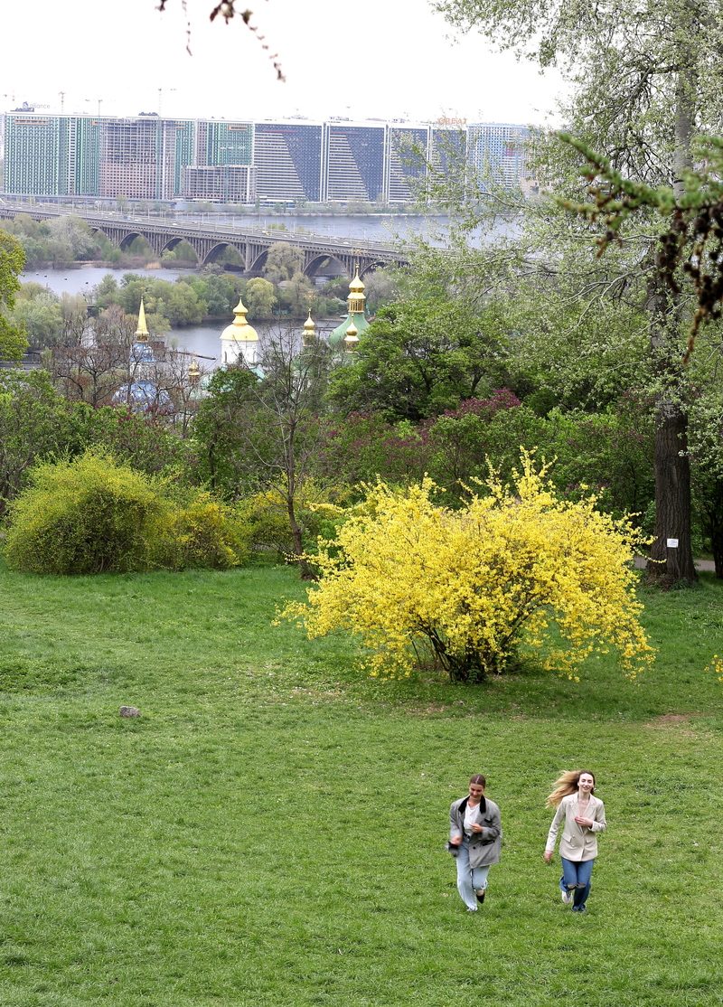 Оазис життя серед кам'яних джунглів.