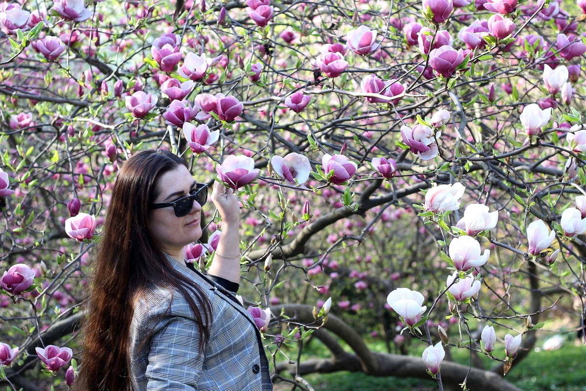 Привід для фотографії