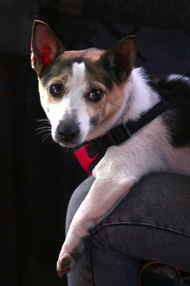 Їдемо додому?