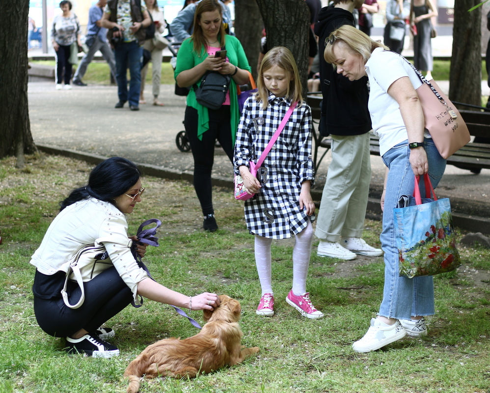 Мамо, давай його візьмемо!