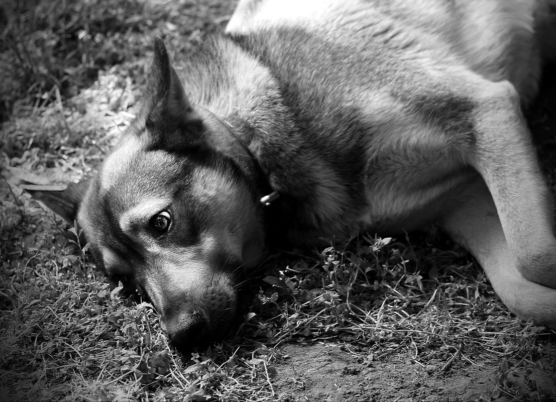 Багато чого довелося пережити..