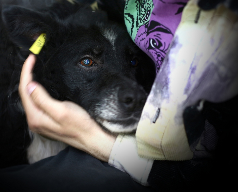 Все позаду ... Ми тепер разом!