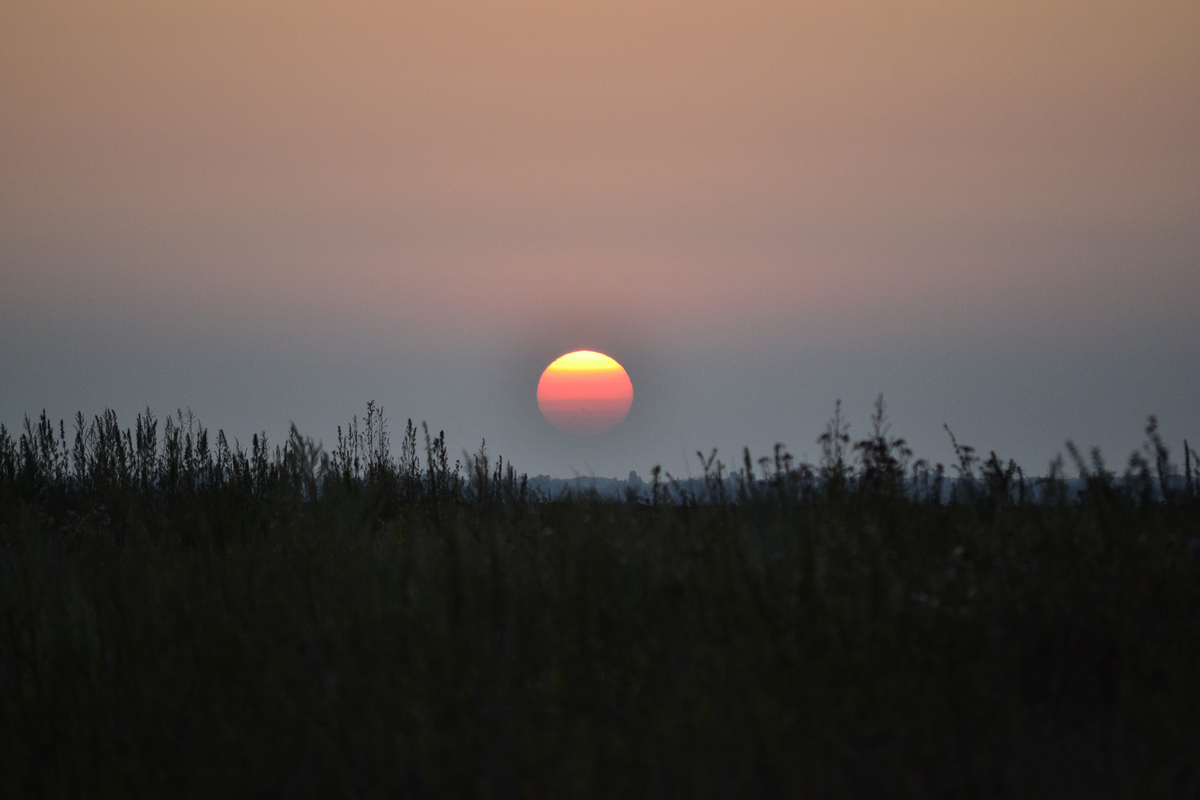 Спокійної тихої ночі моя Україно