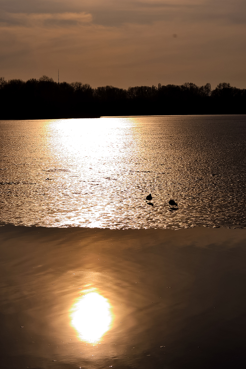 Зачарована тиха Десна