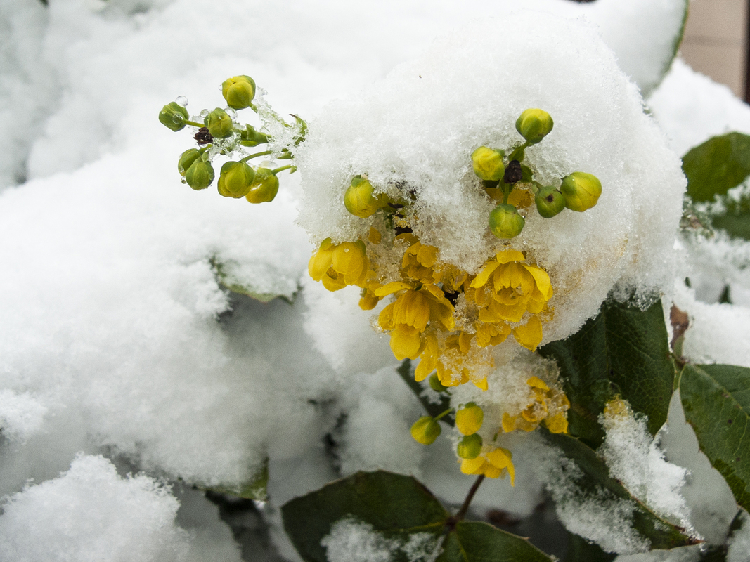 Останній подих зими_4