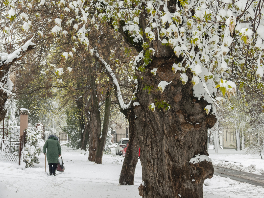 Останній подих зими_5