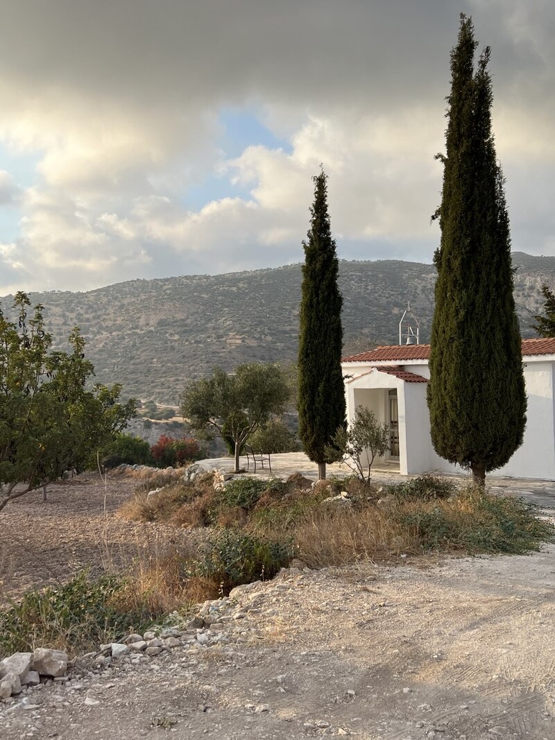 Скарби стародавнього Пафосу