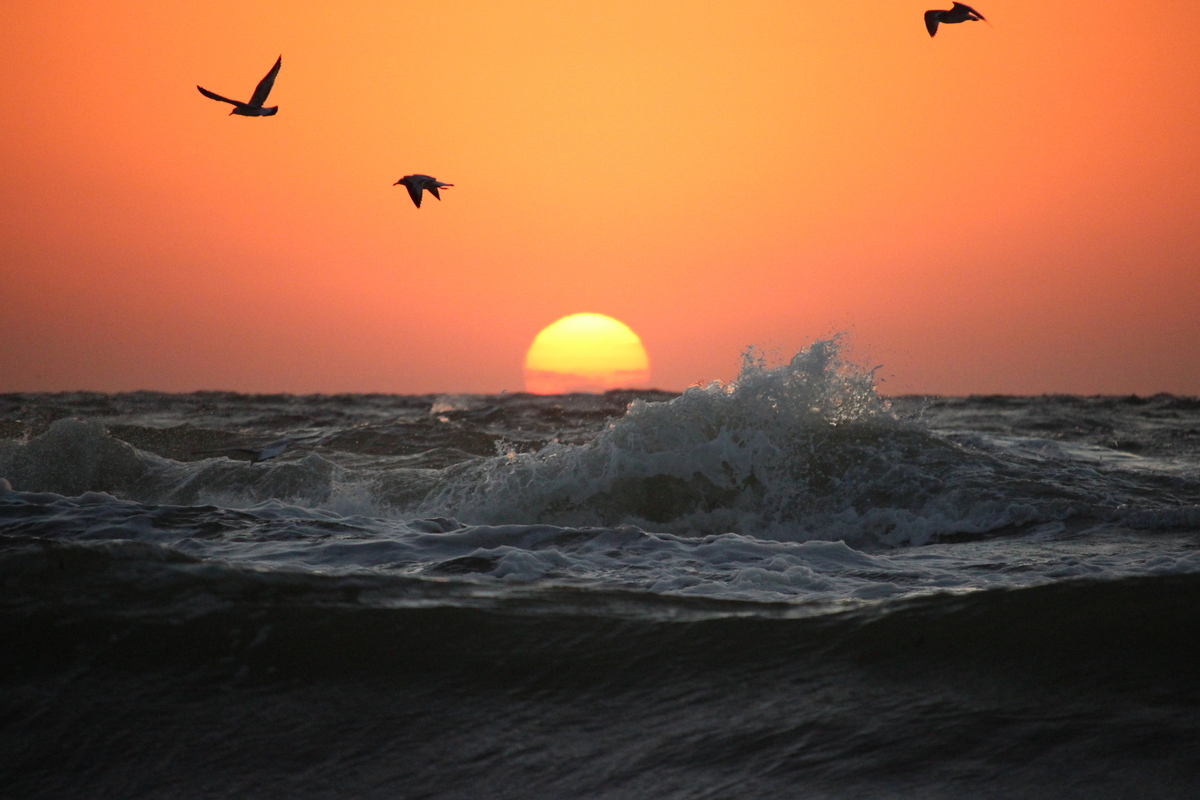 Морський пейзаж