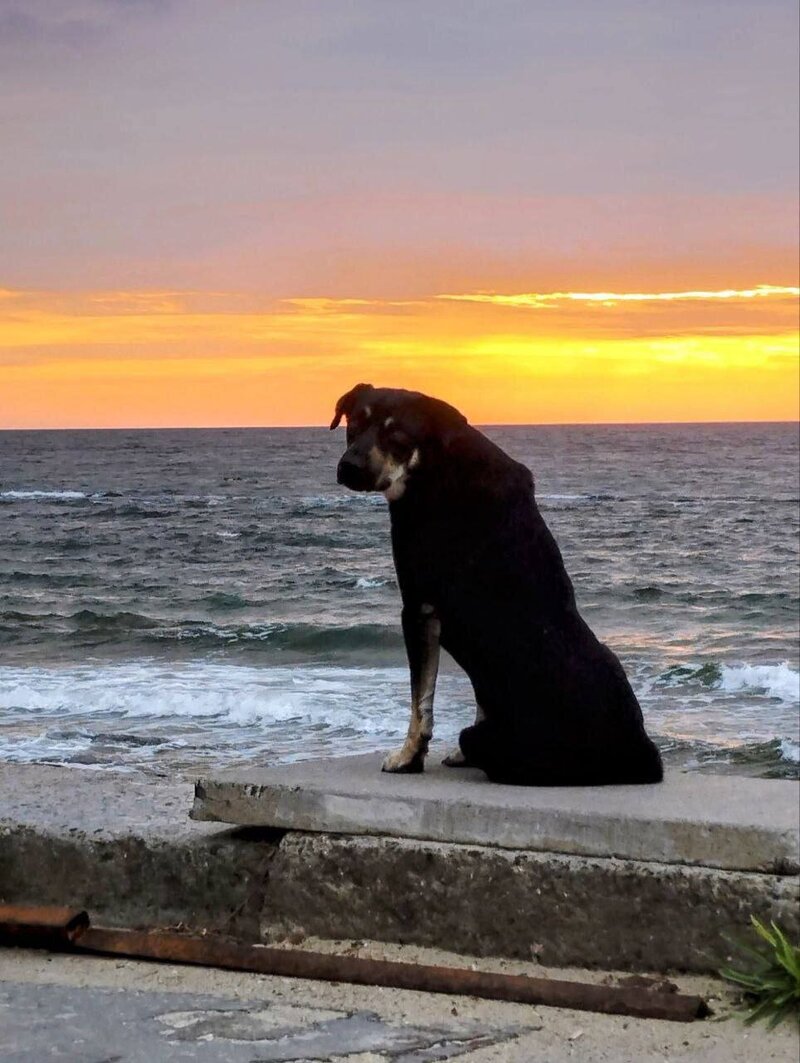 Я буду тебе чекати