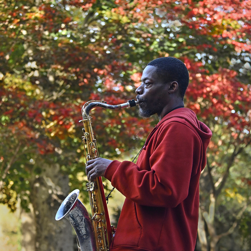Мелодія осені