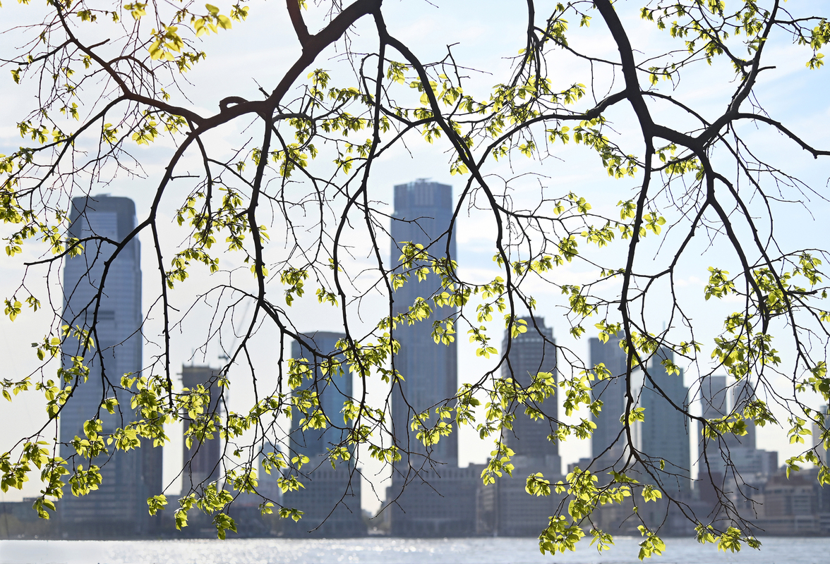 Весняний фрагмент