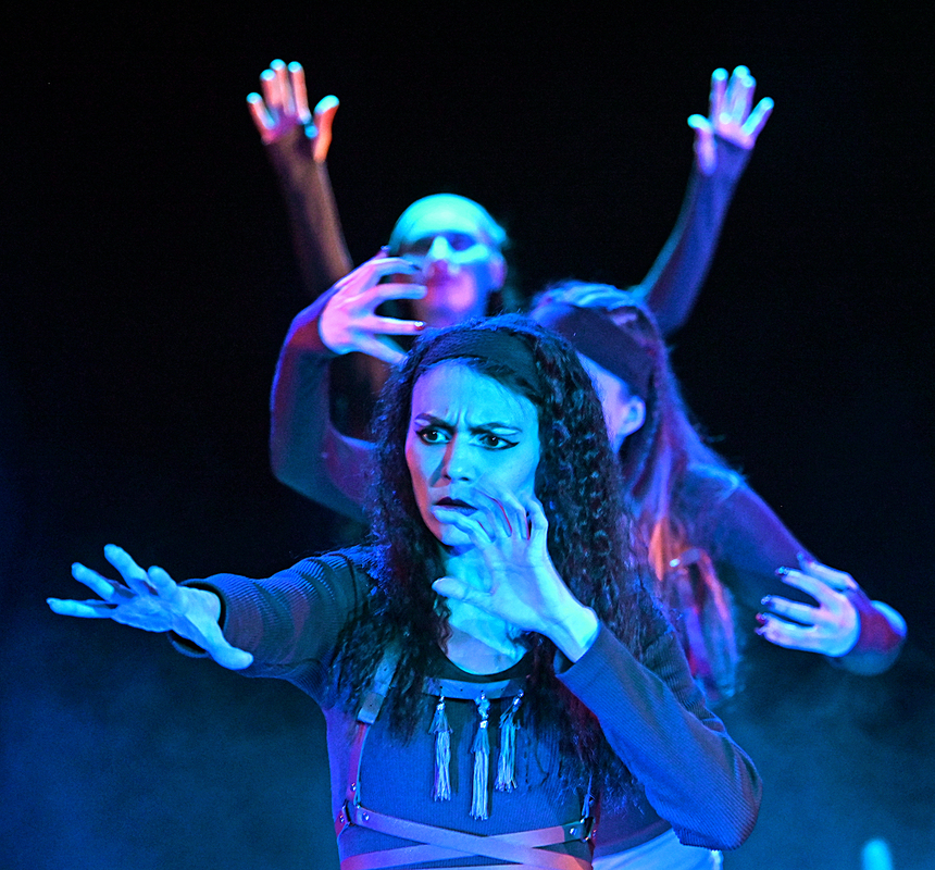 2 Холстомер